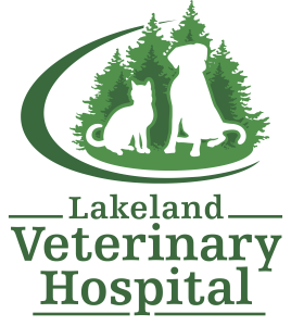 Lakeland Logo Horizontal For Scrubs